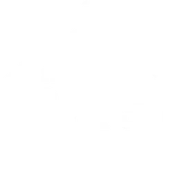 Dauntless Roofing Systems Icon
